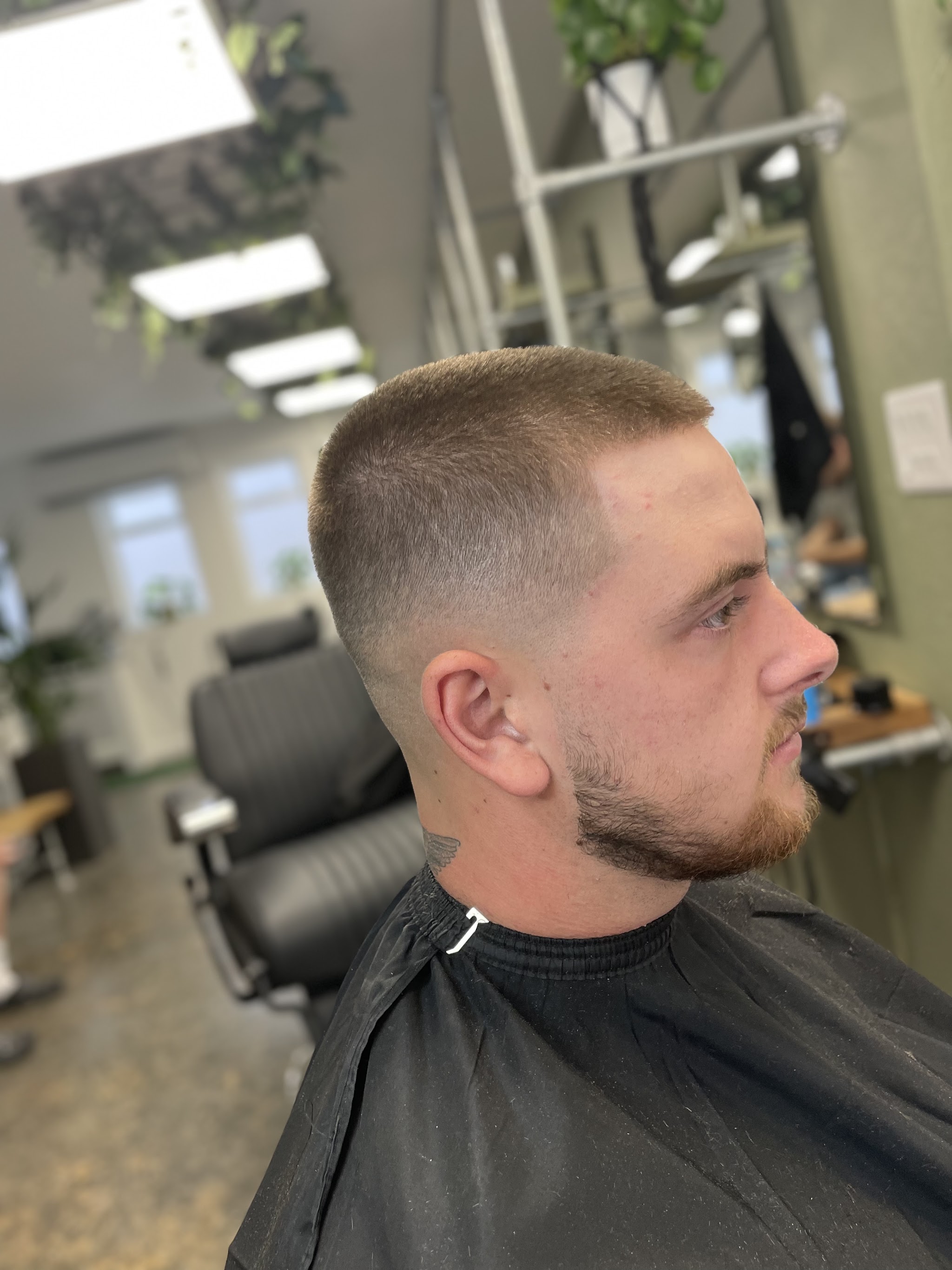 Short crop with a skin fade and tidy beard